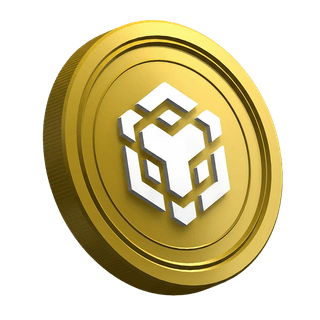 Criptomoneda BNB dentro de la página de la guía del trader principiante